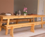 Mesa Pinus